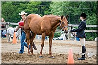 4H-FUN-060615-0260.jpg