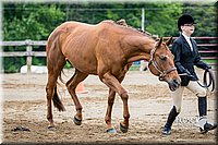 4H-FUN-060615-0263.jpg