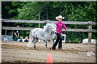 4H-FUN-060615-0266.jpg