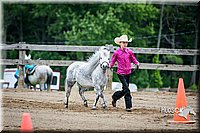 4H-FUN-060615-0268.jpg