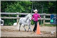 4H-FUN-060615-0269.jpg