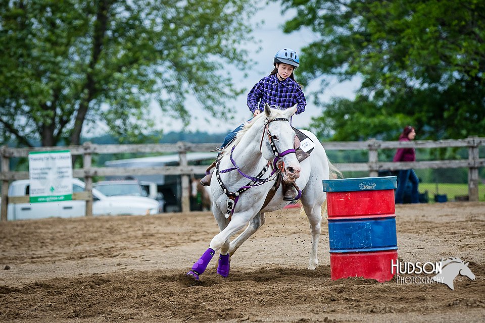 4H-FUN-060615-0434.jpg