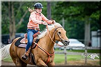 4H-FUN-060615-0401.jpg