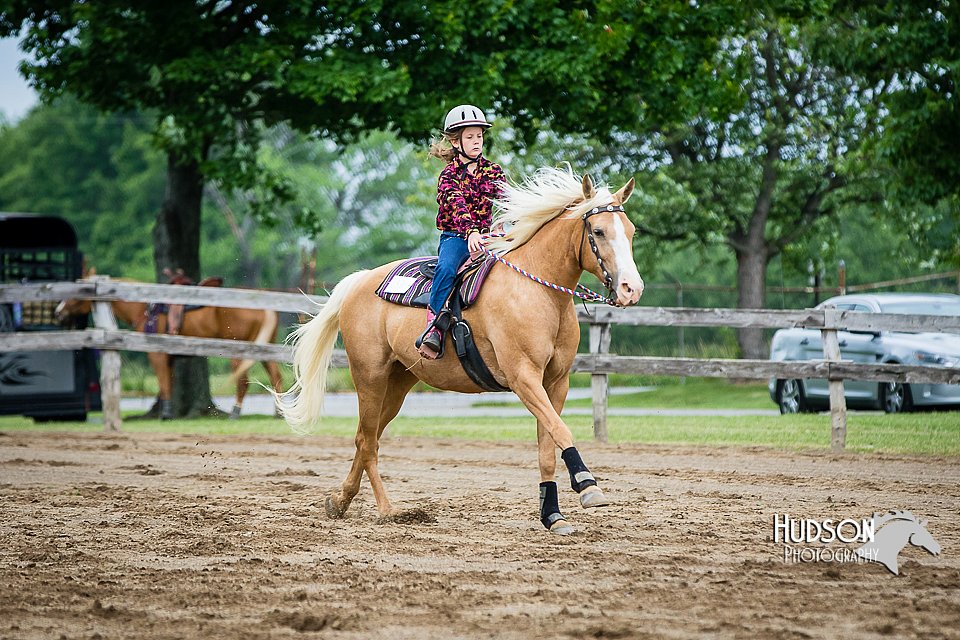 4H-FUN-060615-0473.jpg