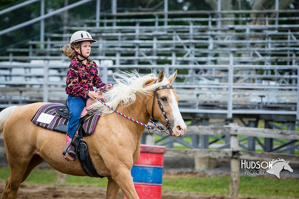 4H-FUN-060615-0476.jpg