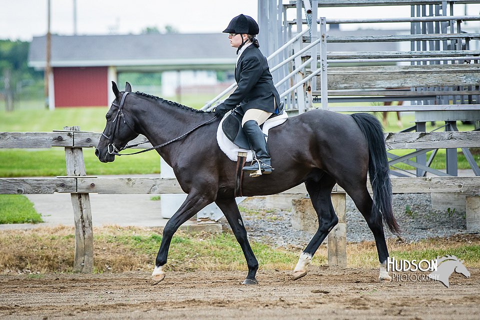 4H-FUN-060615-0548.jpg