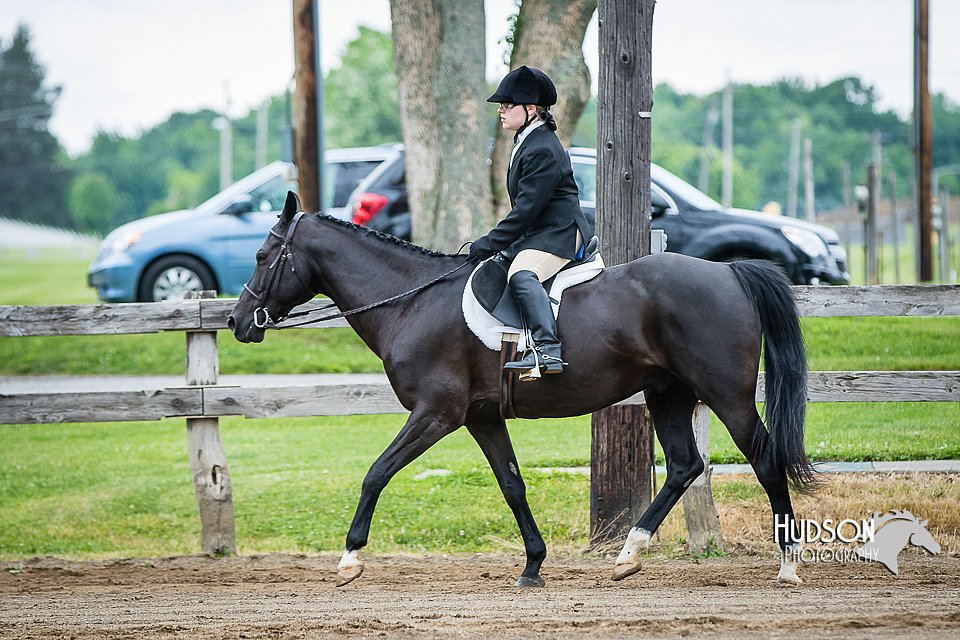 4H-FUN-060615-0549.jpg