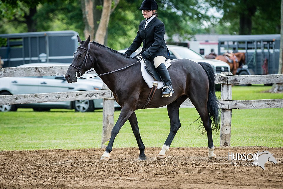 4H-FUN-060615-0551.jpg