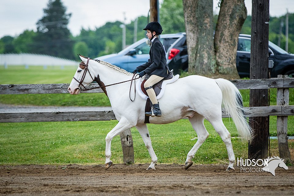 4H-FUN-060615-0552.jpg