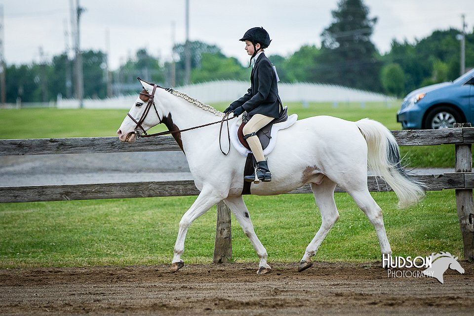 4H-FUN-060615-0553.jpg