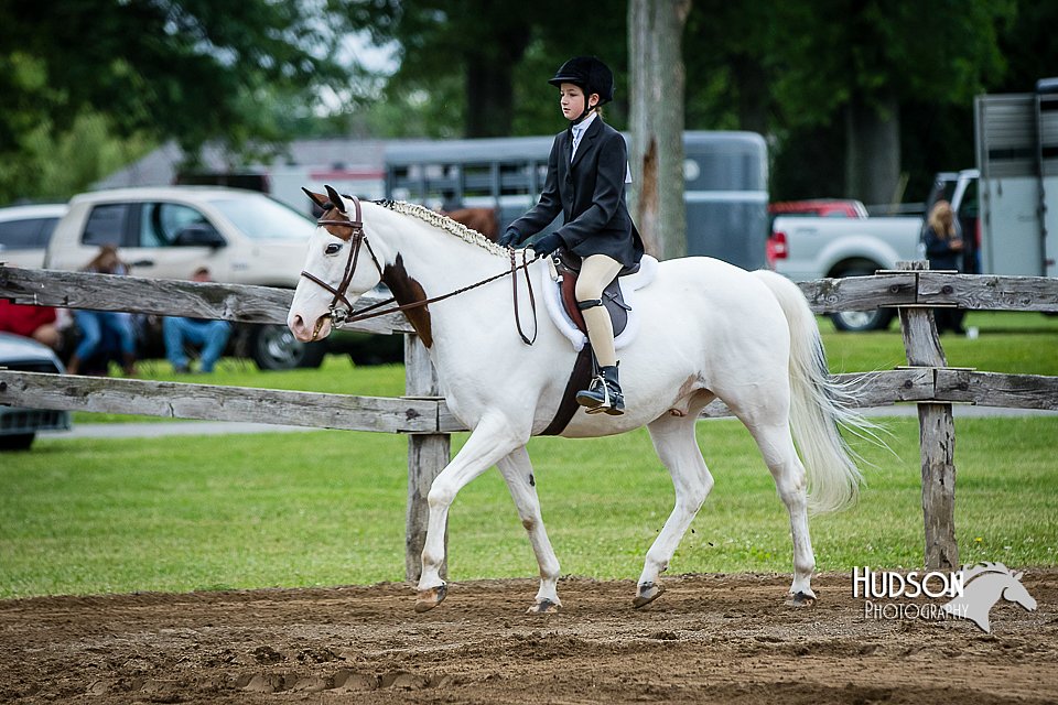 4H-FUN-060615-0556.jpg