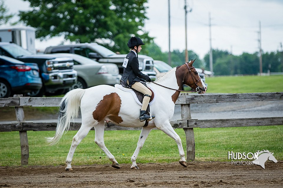 4H-FUN-060615-0560.jpg
