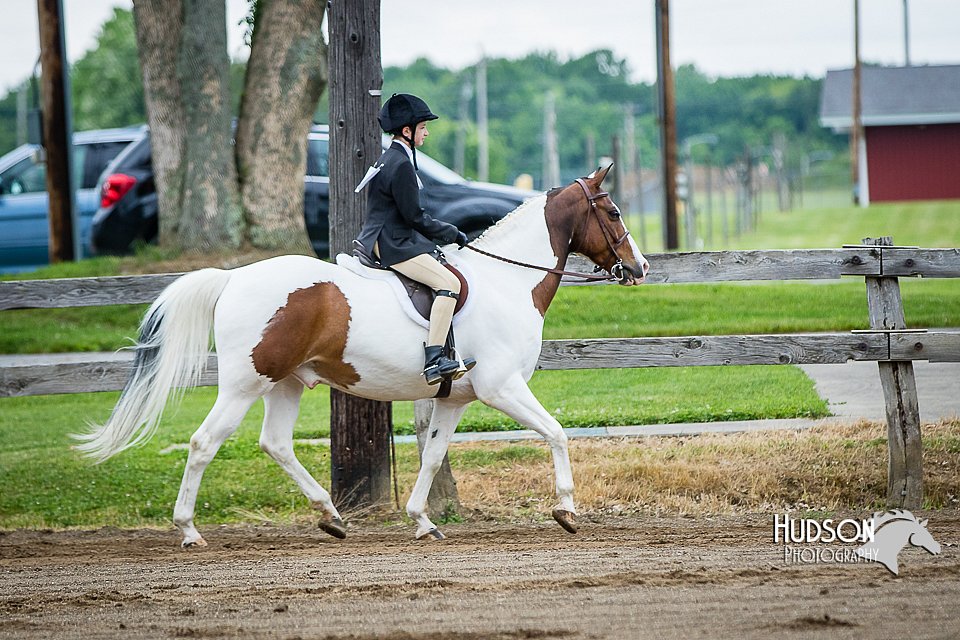 4H-FUN-060615-0561.jpg