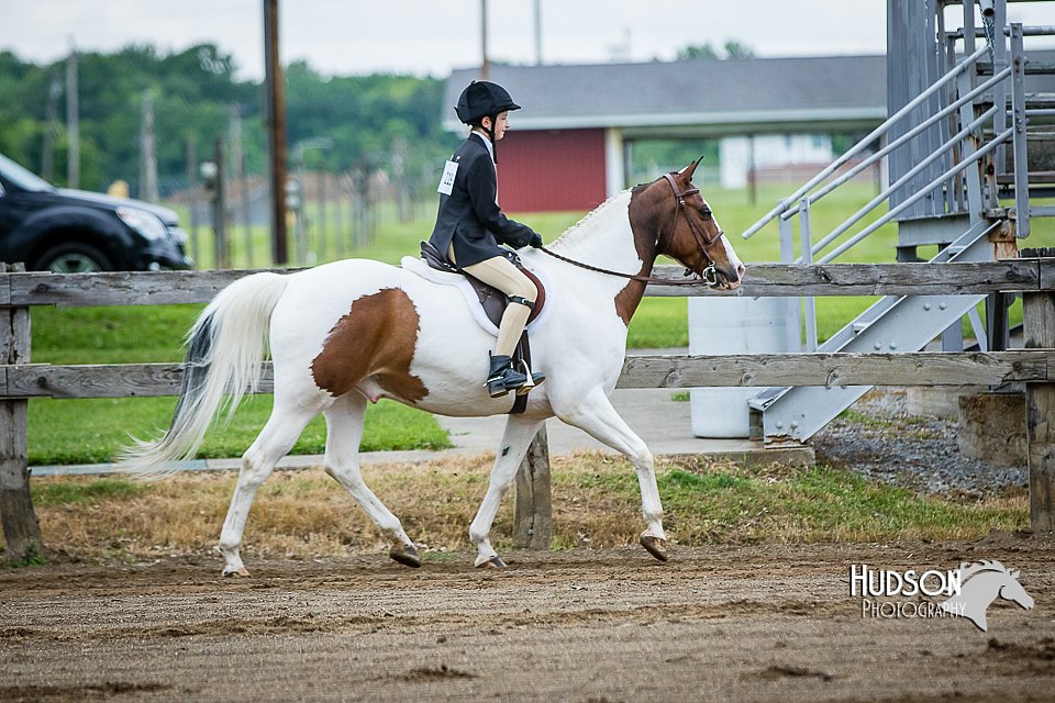 4H-FUN-060615-0562.jpg