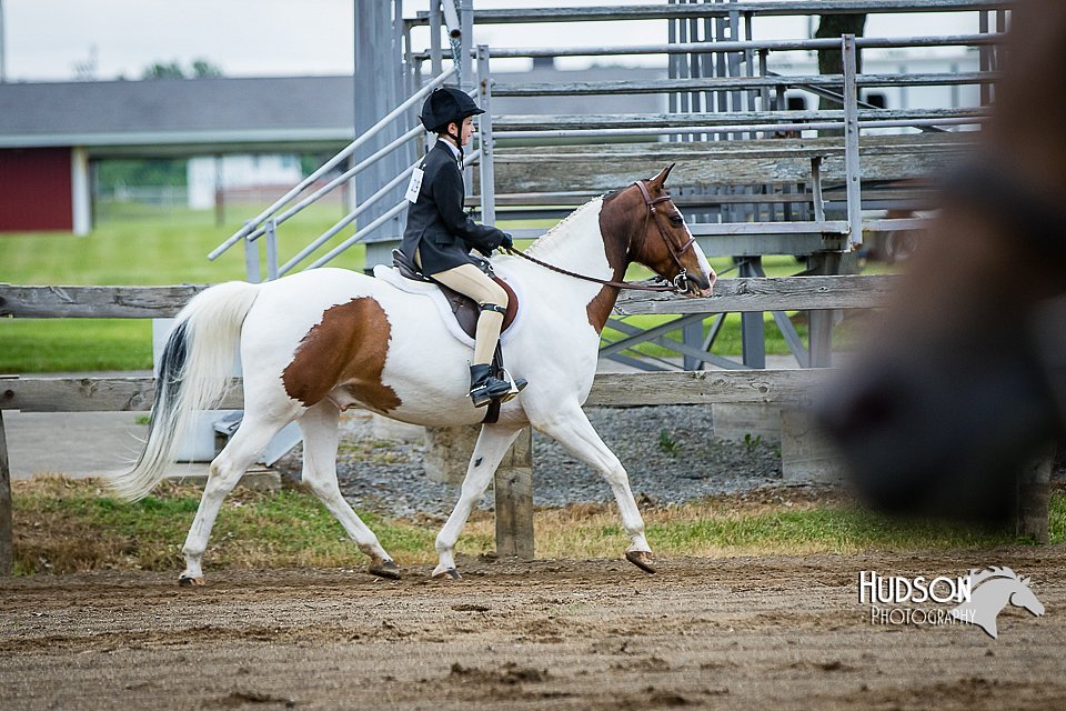 4H-FUN-060615-0563.jpg