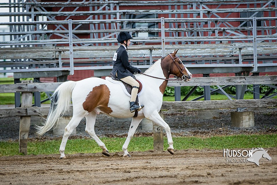 4H-FUN-060615-0564.jpg