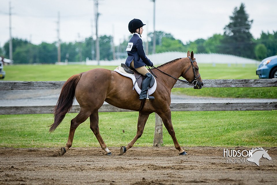 4H-FUN-060615-0569.jpg