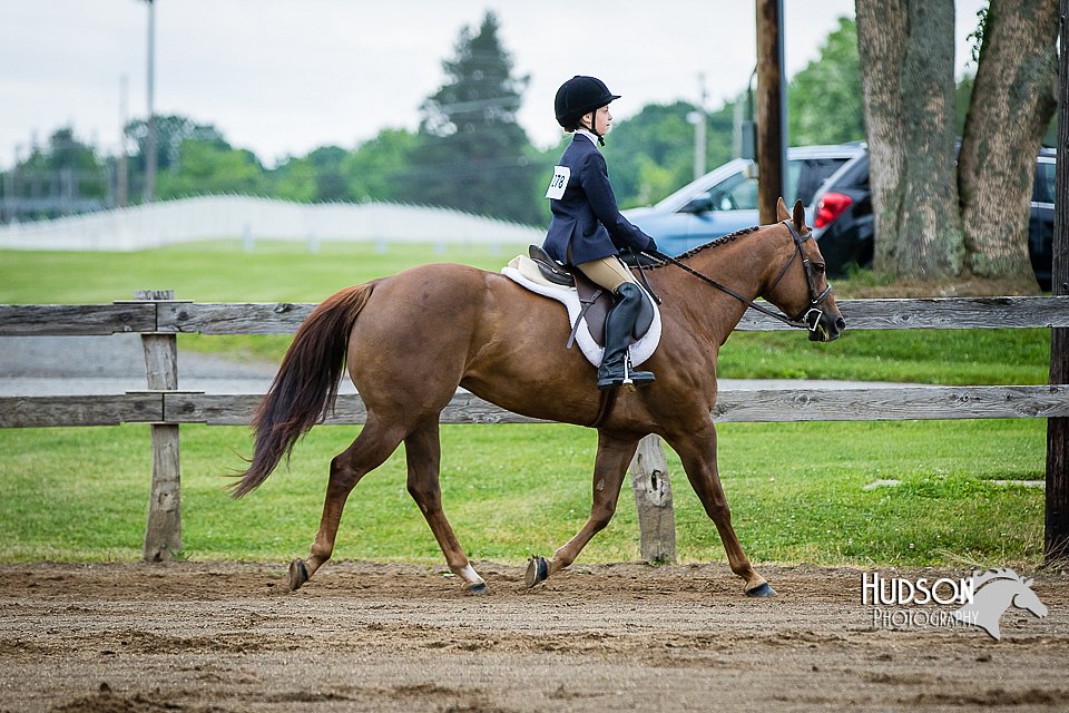 4H-FUN-060615-0570.jpg