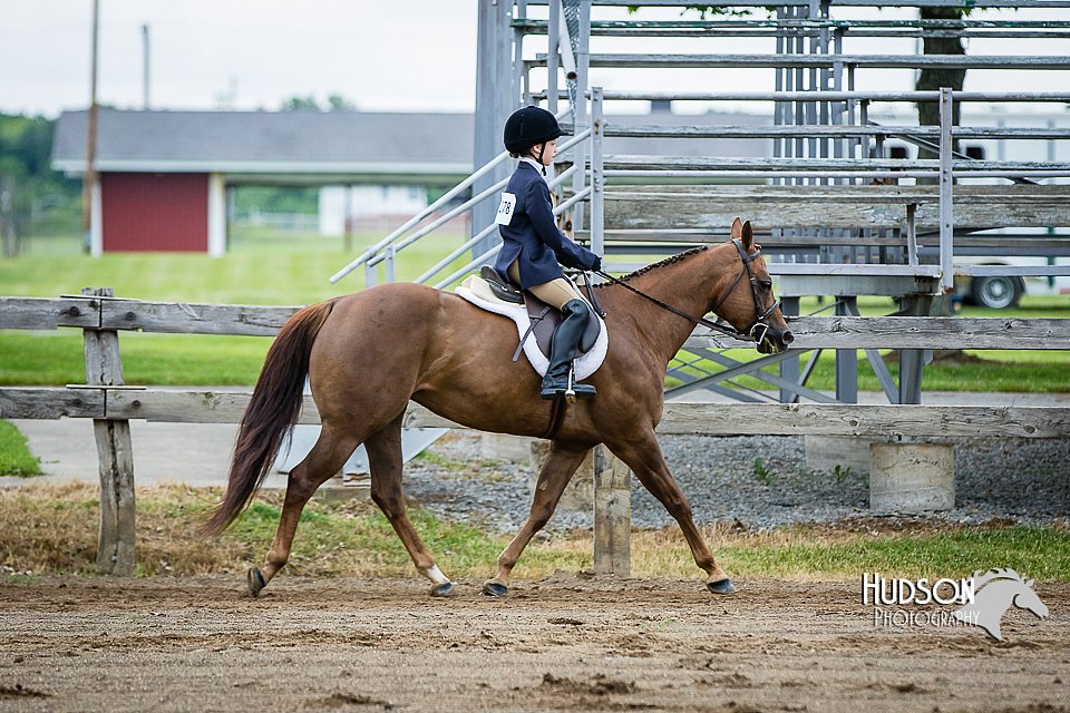 4H-FUN-060615-0572.jpg