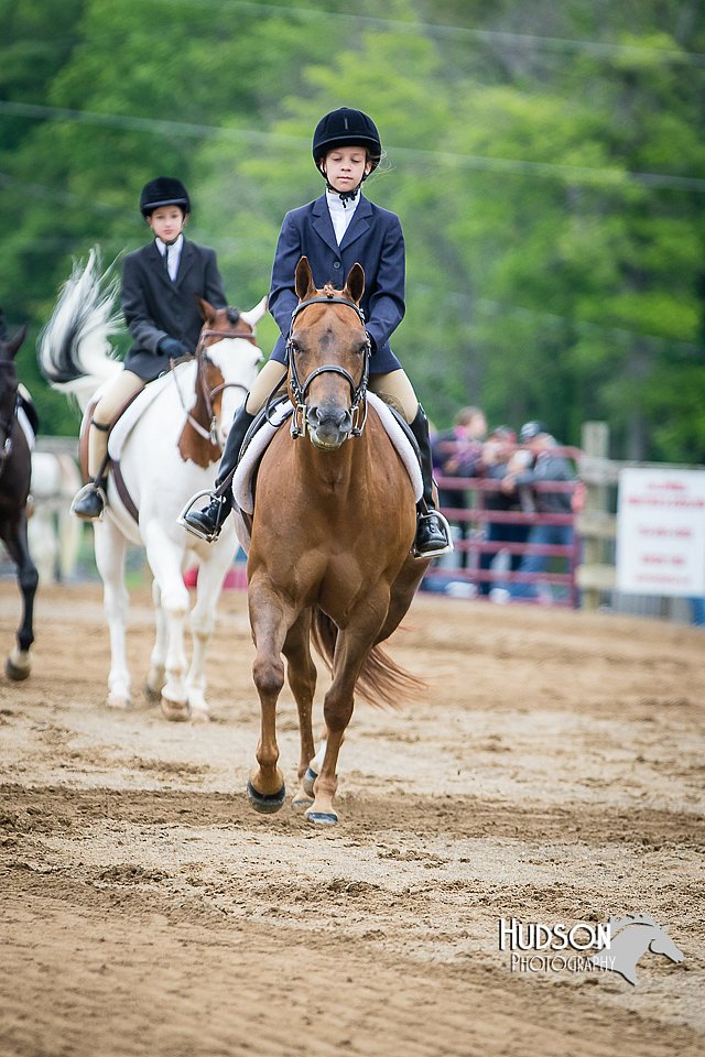 4H-FUN-060615-0573.jpg