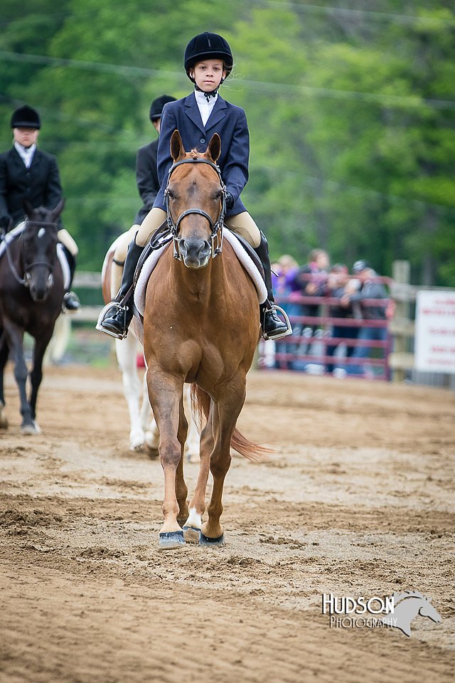 4H-FUN-060615-0574.jpg