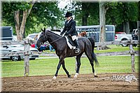 4H-FUN-060615-0535.jpg