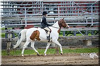 4H-FUN-060615-0564.jpg