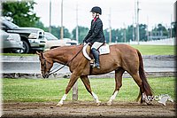 4H-FUN-060615-0627.jpg