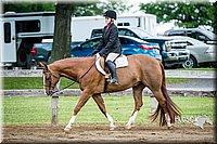 4H-FUN-060615-0628.jpg