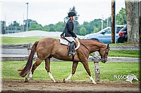 4H-FUN-060615-0639.jpg