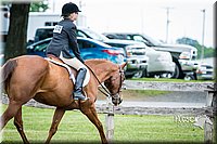 4H-FUN-060615-0658.jpg