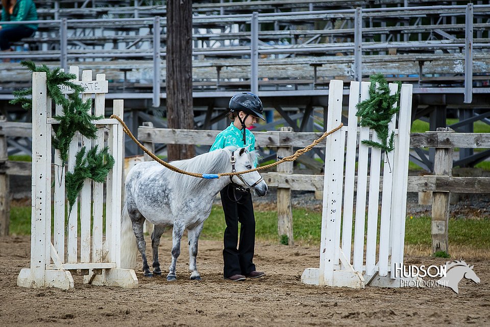 4H-FUN-060615-0884.jpg