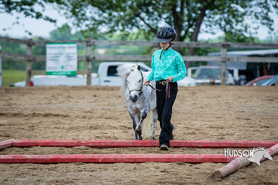 4H-FUN-060615-0885.jpg