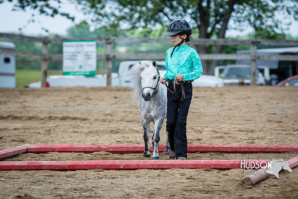 4H-FUN-060615-0887.jpg
