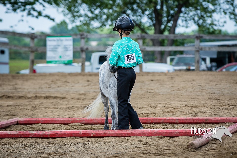 4H-FUN-060615-0888.jpg