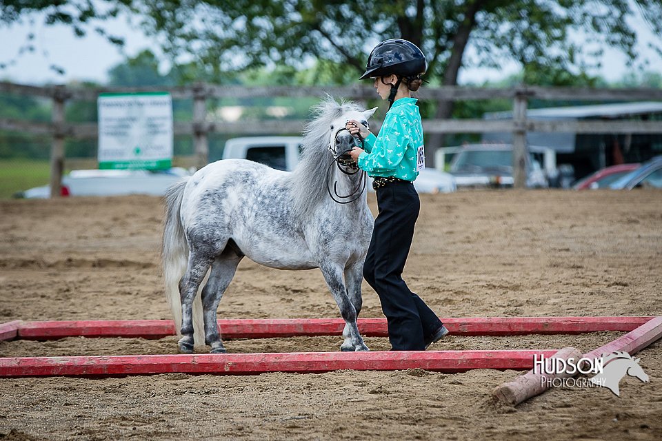 4H-FUN-060615-0889.jpg
