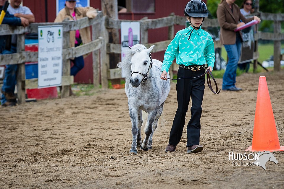 4H-FUN-060615-0891.jpg