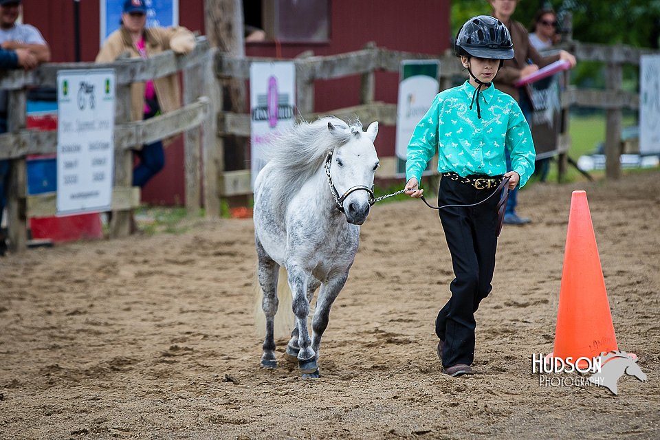 4H-FUN-060615-0892.jpg