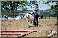 4H-FUN-060615-0851.jpg