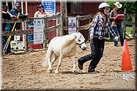 4H-FUN-060615-0856.jpg