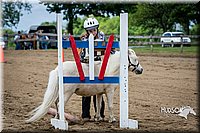 4H-FUN-060615-0858.jpg