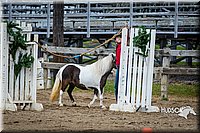 4H-FUN-060615-0864.jpg