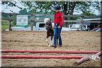 4H-FUN-060615-0866.jpg