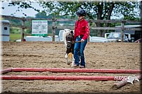 4H-FUN-060615-0867.jpg