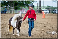 4H-FUN-060615-0877.jpg