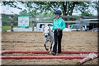 4H-FUN-060615-0886.jpg