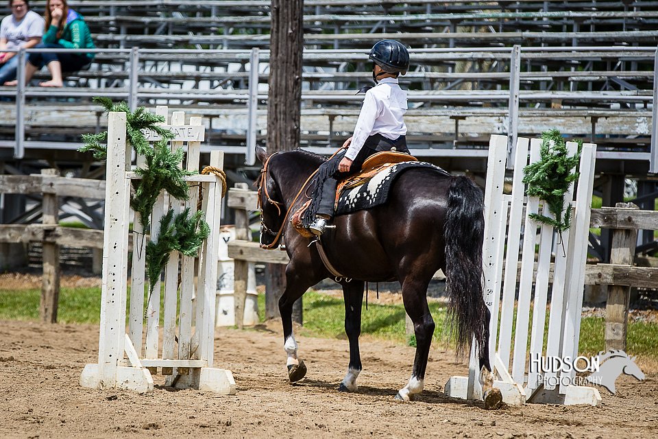 4H-FUN-060615-0913.jpg