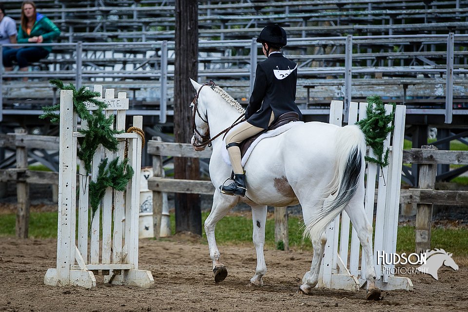 4H-FUN-060615-0923.jpg