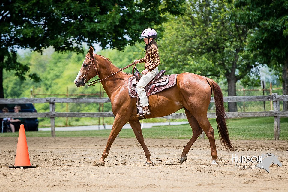 4H-FUN-060615-0945.jpg