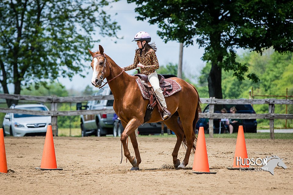 4H-FUN-060615-0946.jpg